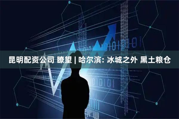 昆明配资公司 瞭望 | 哈尔滨: 冰城之外 黑土粮仓