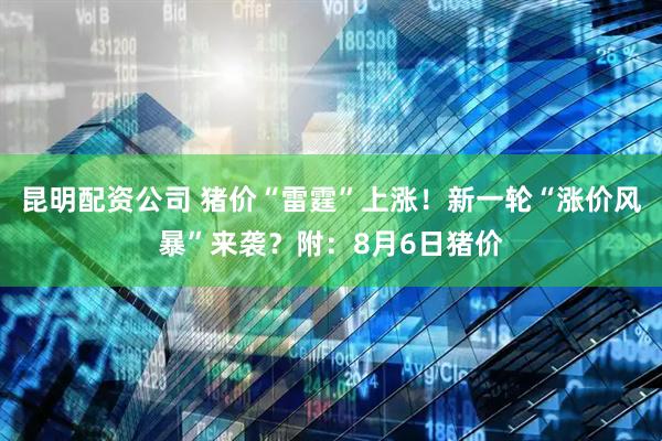 昆明配资公司 猪价“雷霆”上涨！新一轮“涨价风暴”来袭？附：8月6日猪价