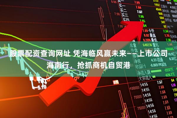 股票配资查询网址 凭海临风赢未来——上市公司海南行，抢抓商机自贸港