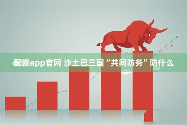 配资app官网 沙土巴三国“共同防务”防什么